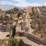 78352c831472d8a70a5a43bbb794f6a6